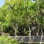 La Mandorla Barano dʼIschia