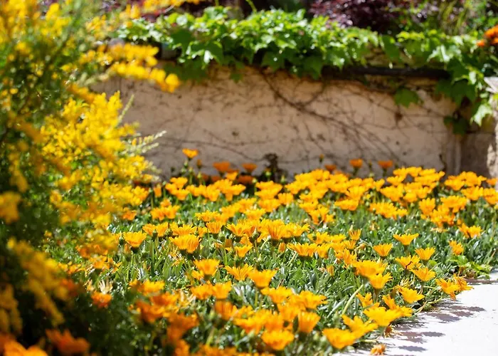 La Mandorla מלון