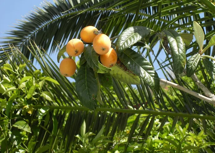 מלון La Mandorla 3*