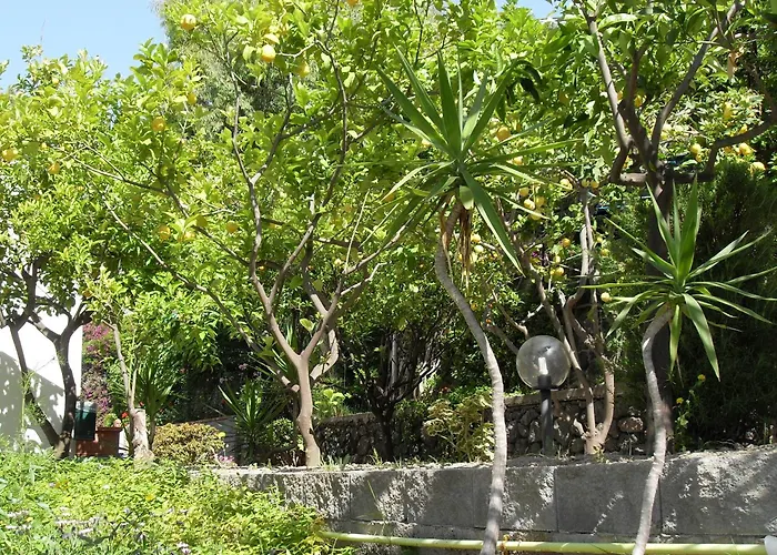 La Mandorla Barano dʼIschia