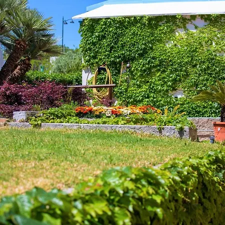 Hotel La Mandorla Barano d'Ischia