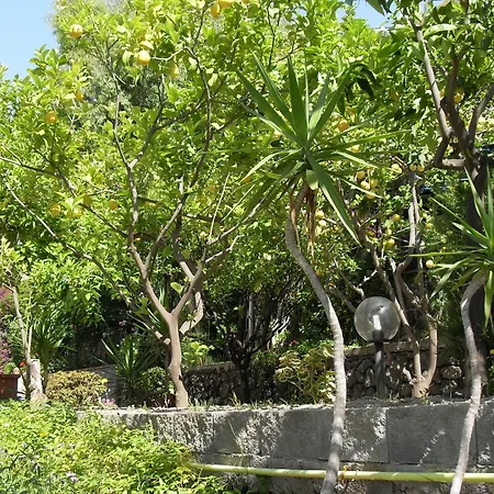 La Mandorla Barano dʼIschia